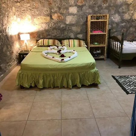 Bed & Breakfast Zirkon Doga Butik *