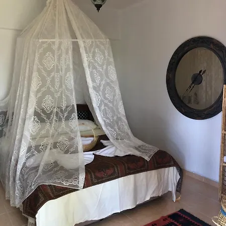 Bed & Breakfast Zirkon Doga Butik *
