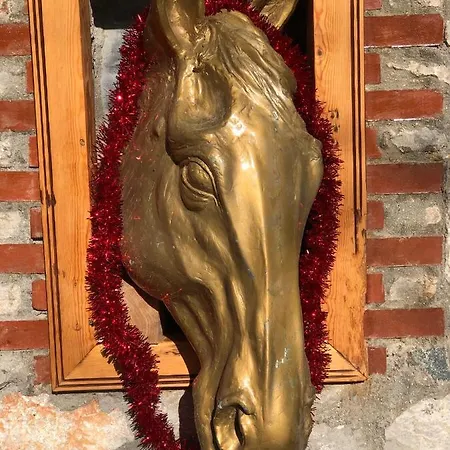 Zirkon Doğa Butik Oda ve Kahvaltı Fethiye