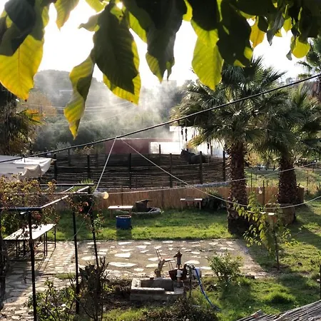 Zirkon Doga Butik Bed & Breakfast Fethiye