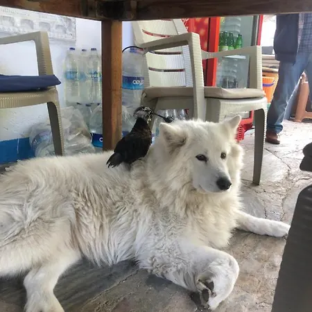 Zirkon Doğa Butik