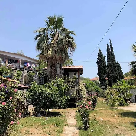 Zirkon Doga Butik Fethiye