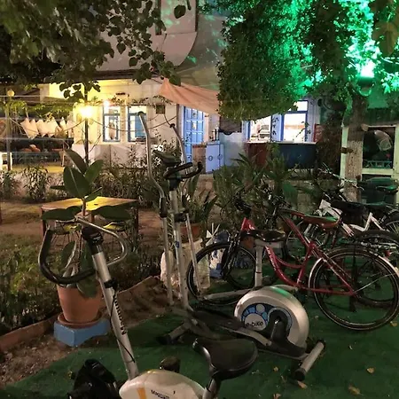 Zirkon Doga Butik B&B 페티예