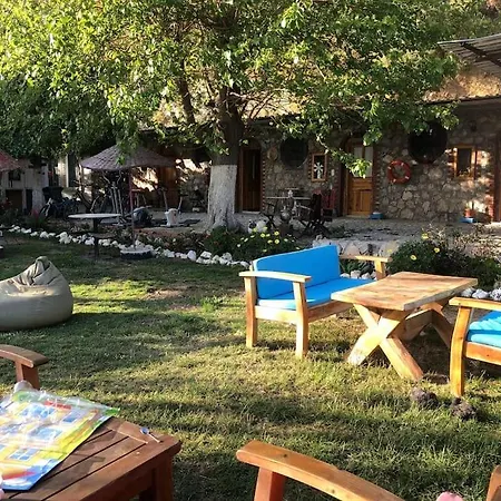 B&B Zirkon Doga Butik 페티예